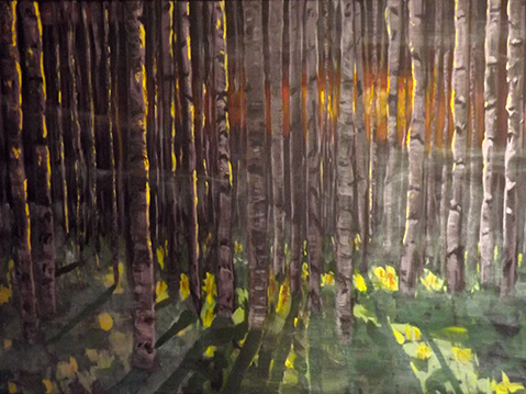 Birch forest